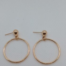 Fashion Earrings