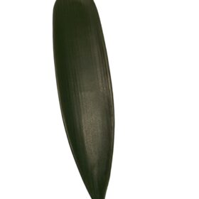 Green leaf incense holder