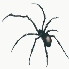 1 Sheet Spider Tattoo Sticker Waterproof And Long-lasting Temporary Tattoo Body Art