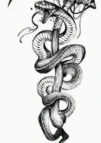 Snake Waterproof Temporary Tattoo