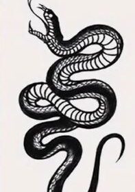 Waterproof snake tattoo