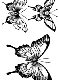 Butterfly waterproof temporary tattoo